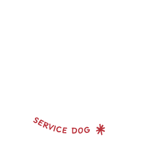 Corry's Foundation Logo